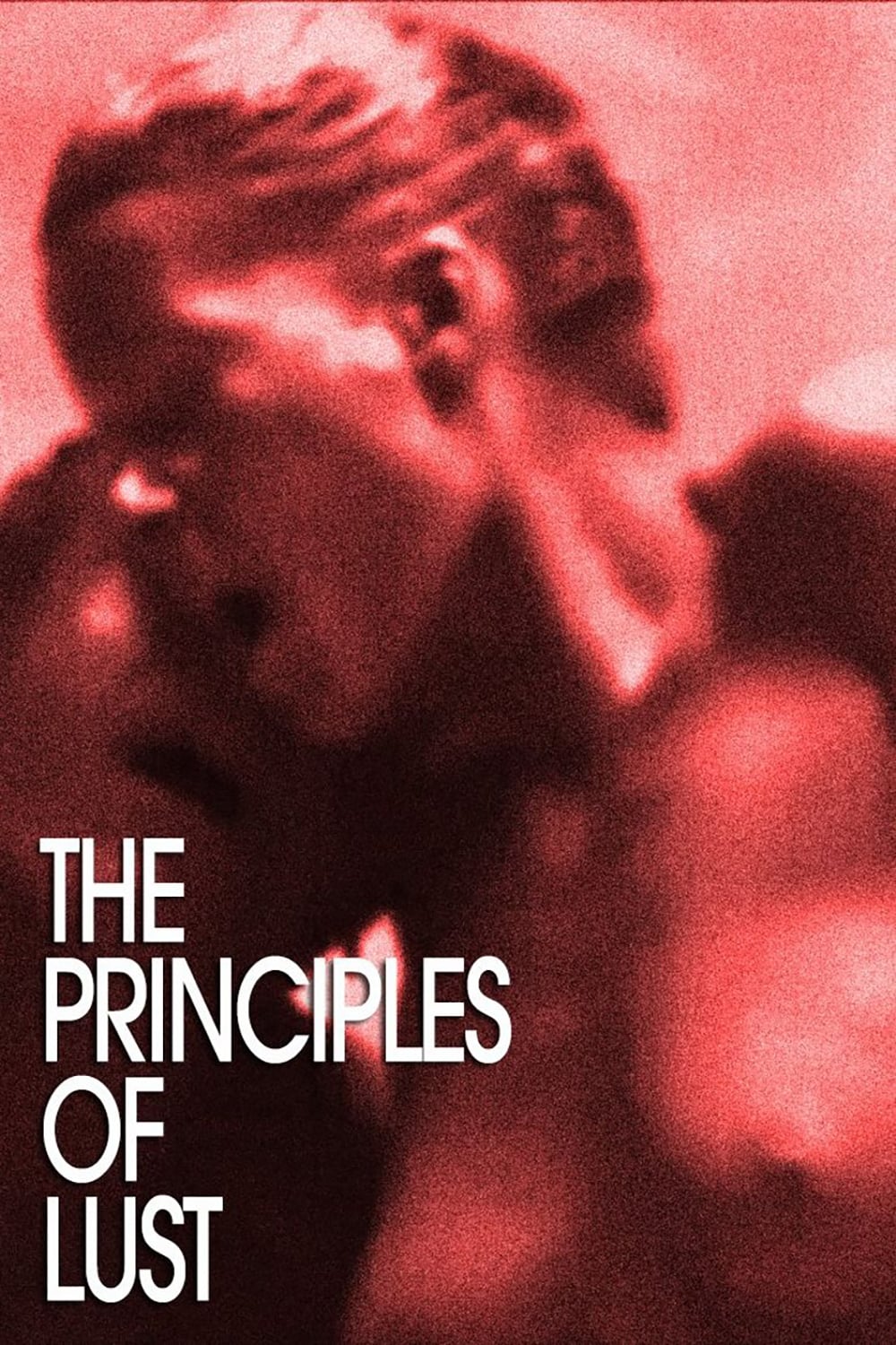 постер Принципы похоти